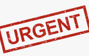 Urgent : inscription chpt départemental de CO