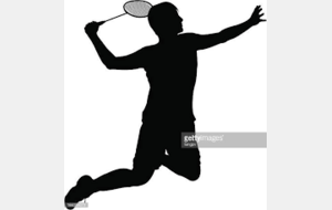 Badminton départemental