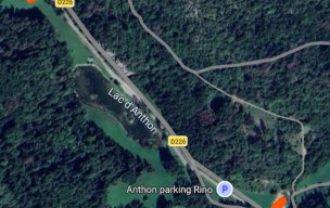 Sauvons les crapauds